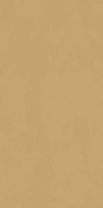 Kevinken-V4866 120X60 cm_3