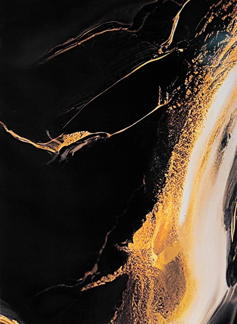 D0066 BLACK GOLD - UV MARBLE PANEL - Interior Decor Tile - 290*122cm_2